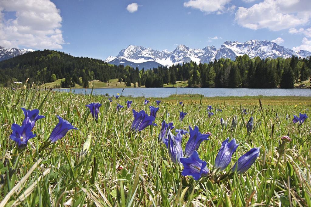 Apartmán Beim Gschdoaga Mittenwald Exteriér fotografie